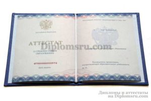 купить аттестат в Мурманске